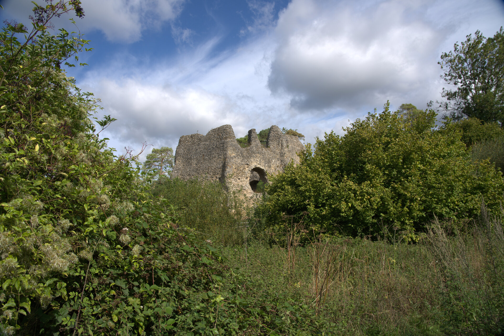 img of Odiham Castle